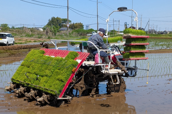 田植え機で苗を植える様子